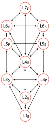 Blank generic Tree using S (for Social)  versus P (for Personal) as the dynamic duality.