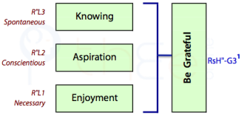 'Being Grateful' depends on combining 'Enjoyment', 'Aspiration', and  'Knowing'.