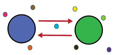 Representation of the  dualistic paradigm showing opposition in a sea of variety.