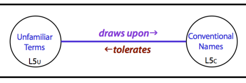 Link between Centres in Level-5: idiosyncratic naming v  conventional naming