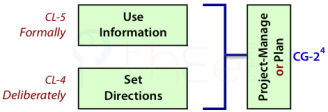 Project managers use information and set directions.