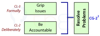 Gripping issues plus accountability enables the resolution of problems.