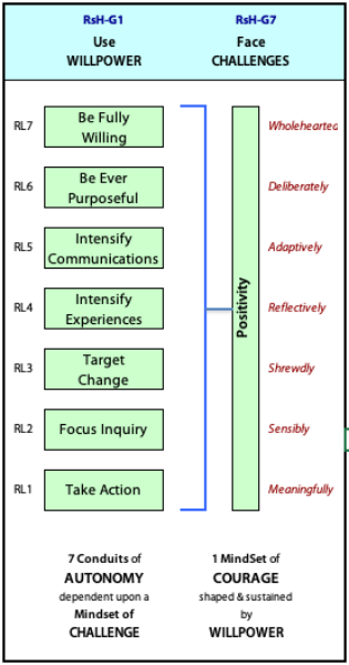 Having the courage to rise to challenges reveals Positivity that includes all 7 levels of the hierarchy of endeavour.