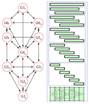 Tree pattern of centres and channels shown against the vertial structural hierarchy for shaping institutional development.