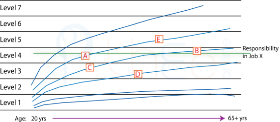 Graphs of capability development with age showing different career trajectories.
