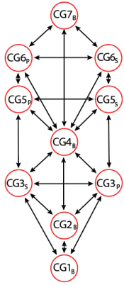 Blank THEE structural hierarchy pattern.