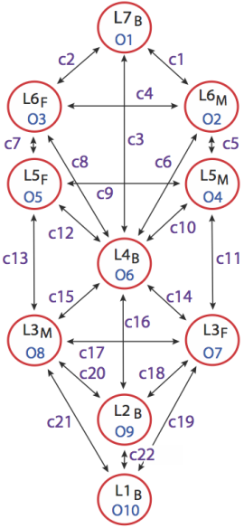 Pattern of tree centres and channels with labeling.