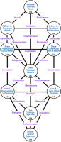 Pattern of centres and channels when the Primary Hierarchy of Purpose is operated.