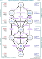 Objective requirements for communal betterment: tree pattern.
