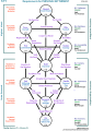 Requirements for personal betterment: Tree pattern.